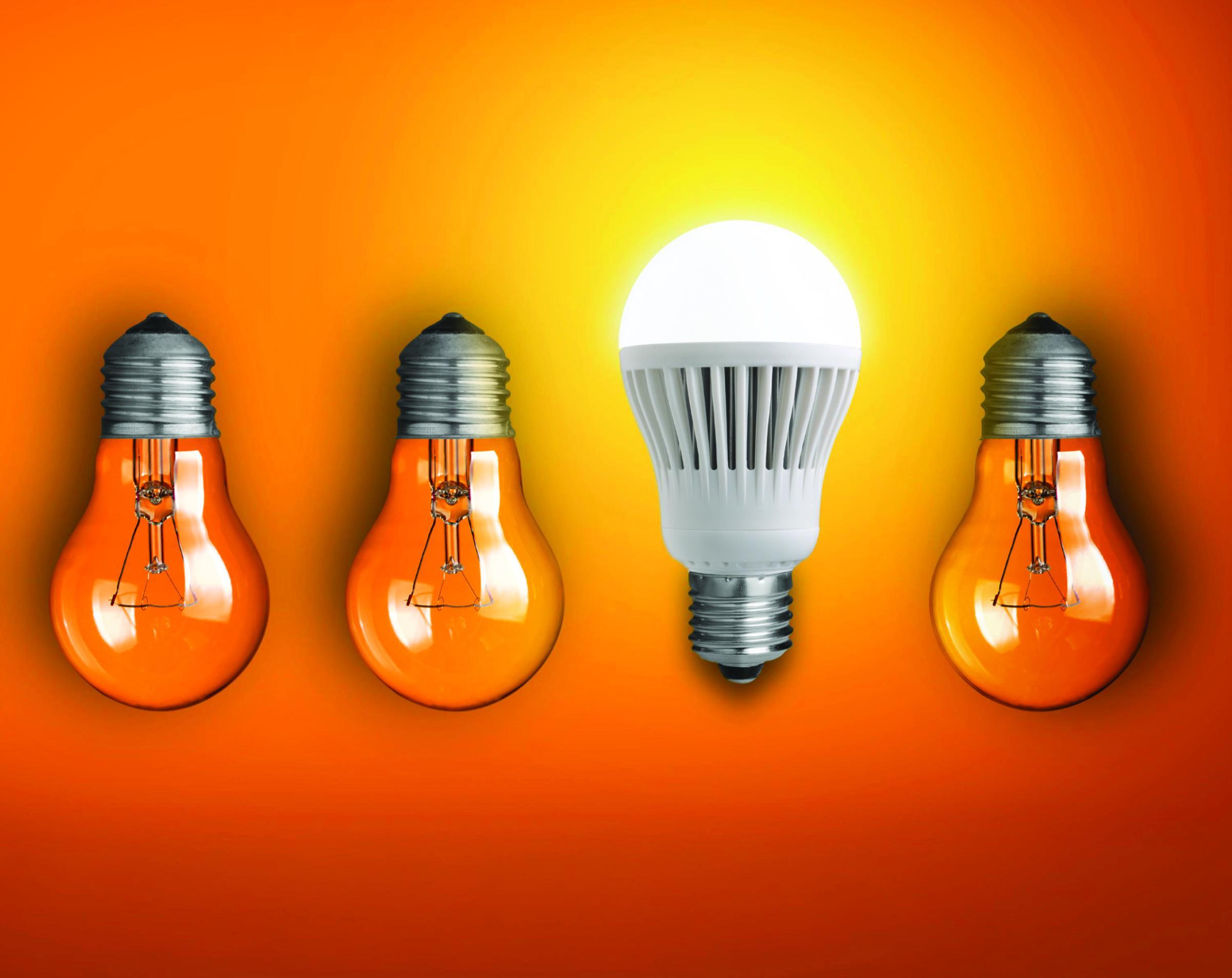 bulbs